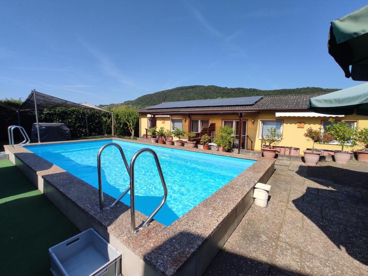 Moselferienweingut Schaefer Apartment Винтрих Екстериор снимка